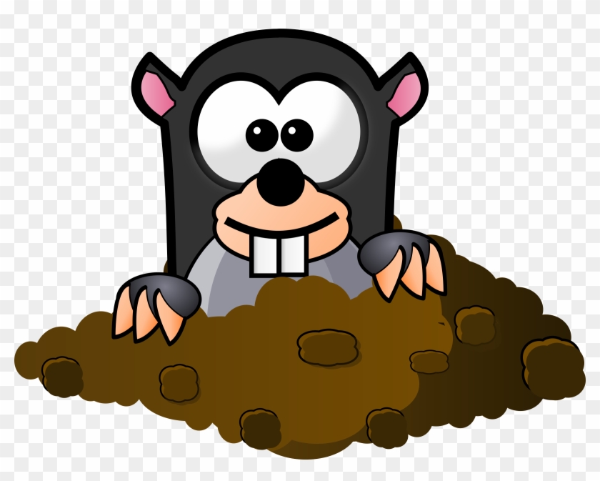 Animal, Mole, Underground, Furry, Looking, Curious - Mole Png Clipart #42034