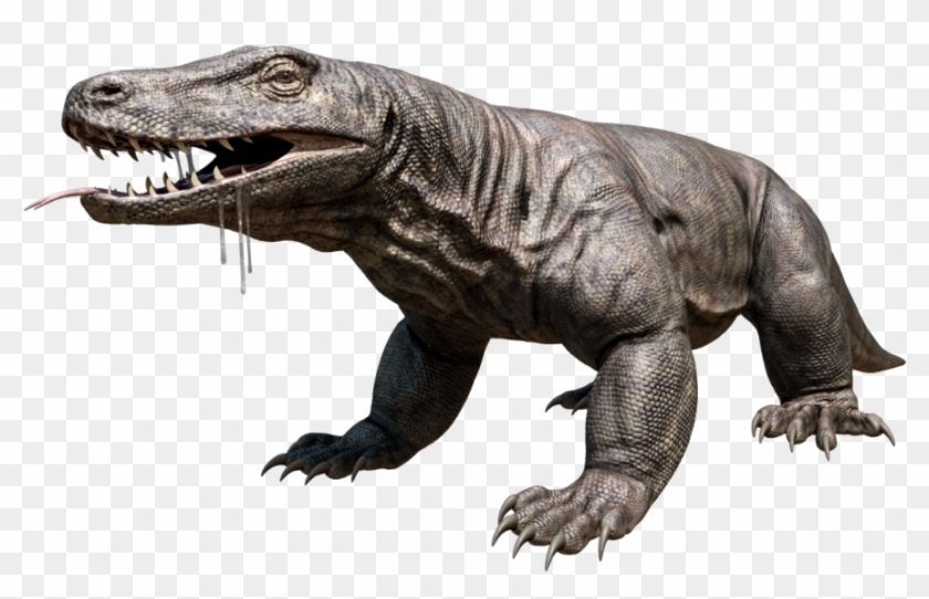 Monitor Lizard Clipart Transparent Background - Komodo Dragon Png