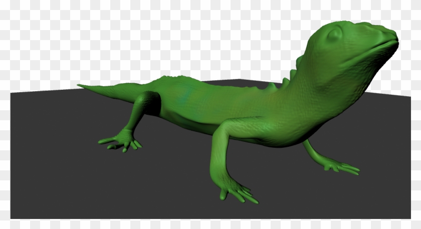 The Green Lizard Lizard - Carolina Anole Clipart #42496