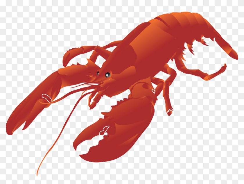 Lobster Png - Lobster Clipart Transparent Png #42723