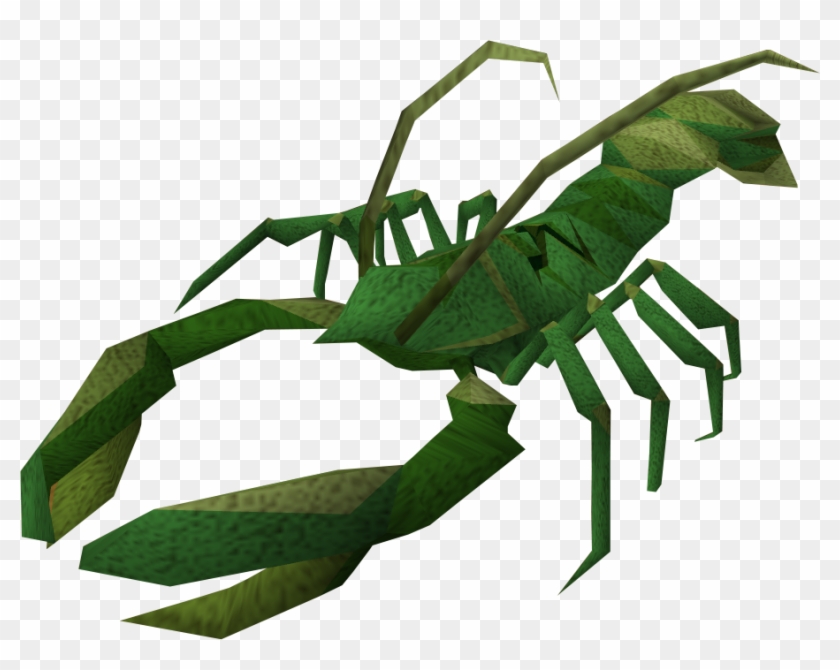 The Runescape Wiki - Spider Clipart #42900