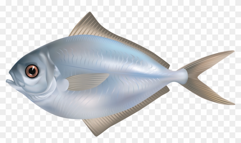 Grey Butter Fish Png Clipart Image - Fish Png Transparent Png #42948