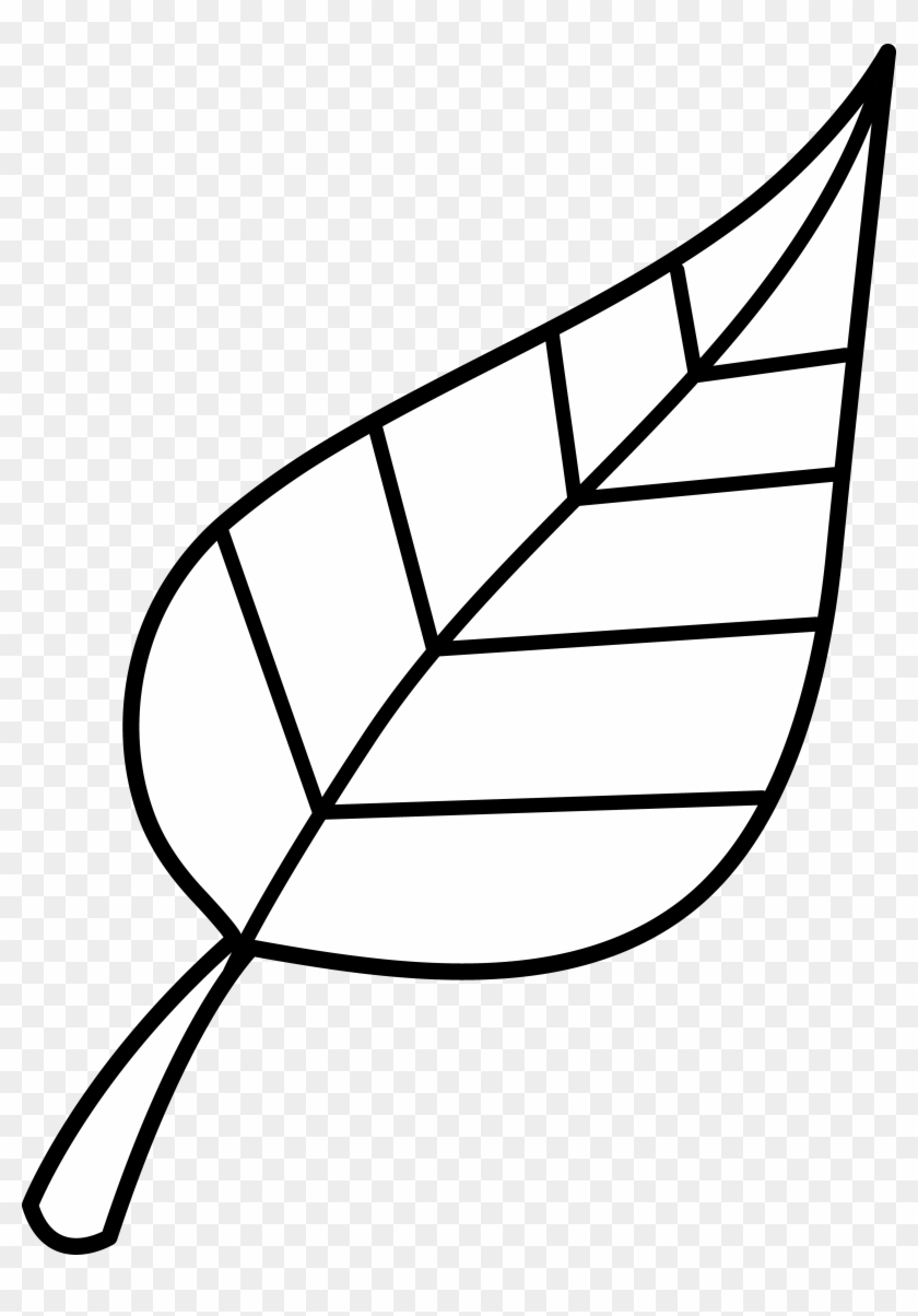Tree With Leaves Clipart Black And White Swirls - Clip Art Black And White - Png Download