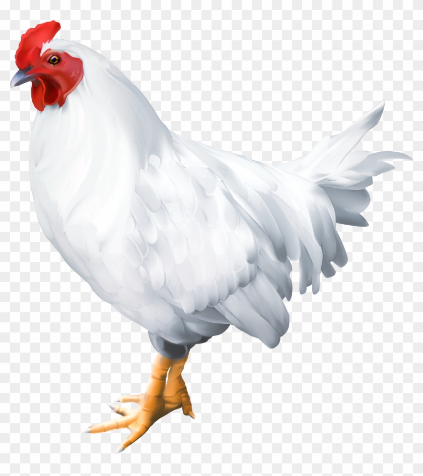White Rooster Png Clip Art Image Transparent Png #43788