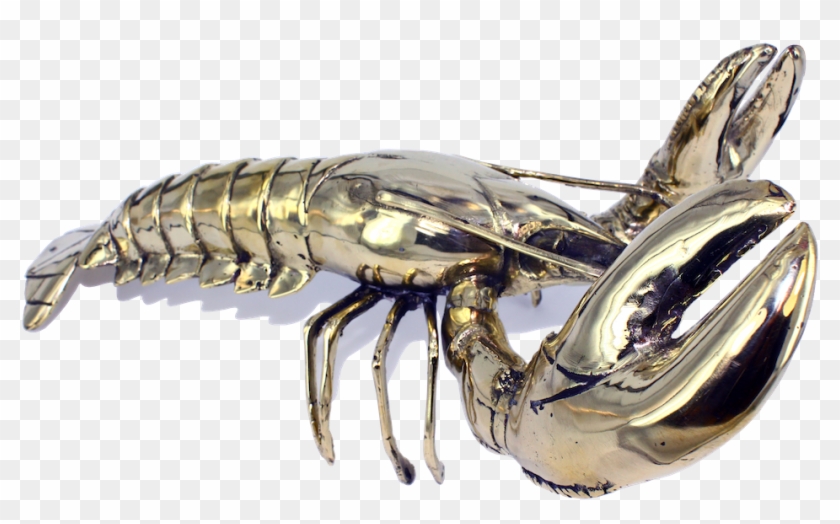 Larry The Lobster, From $99 - Litopenaeus Setiferus Clipart