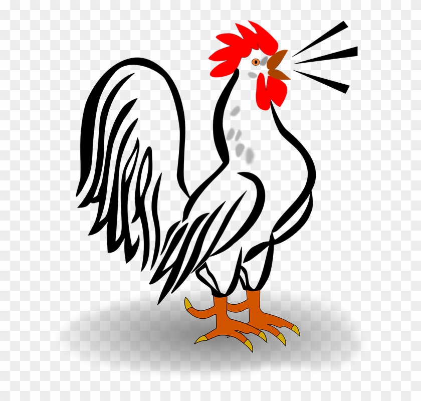 Small - Rooster Clipart - Png Download #43860