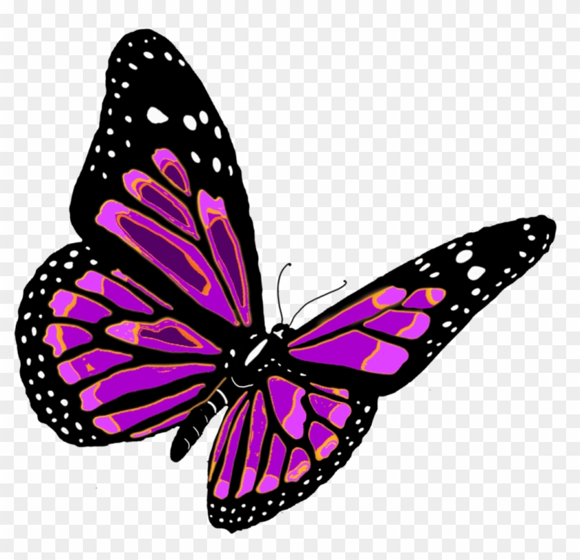 Butter Fly Png Clipart