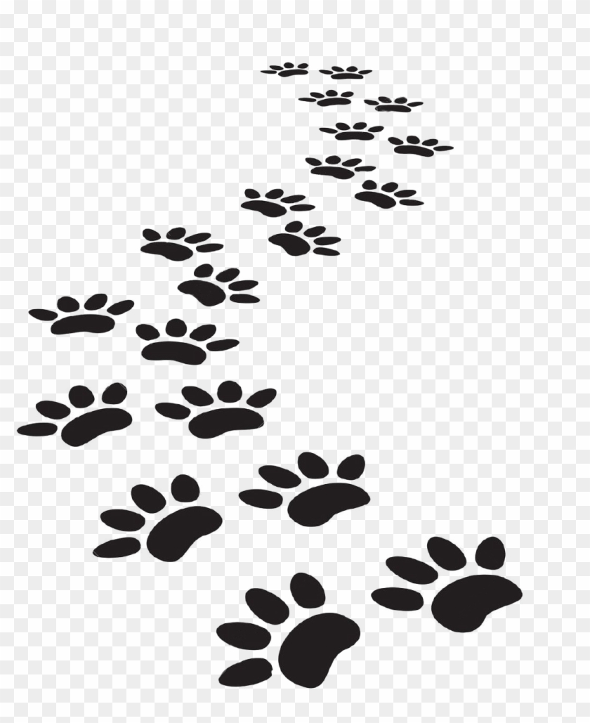 Dog Paw Prints Vector , Png Download - Vector Dog Paw Prints Clipart #44445