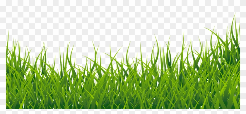 Clipart Clip Art Library - Grass Clipart - Png Download