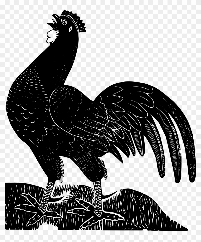 Black Rooster Clipart #44935