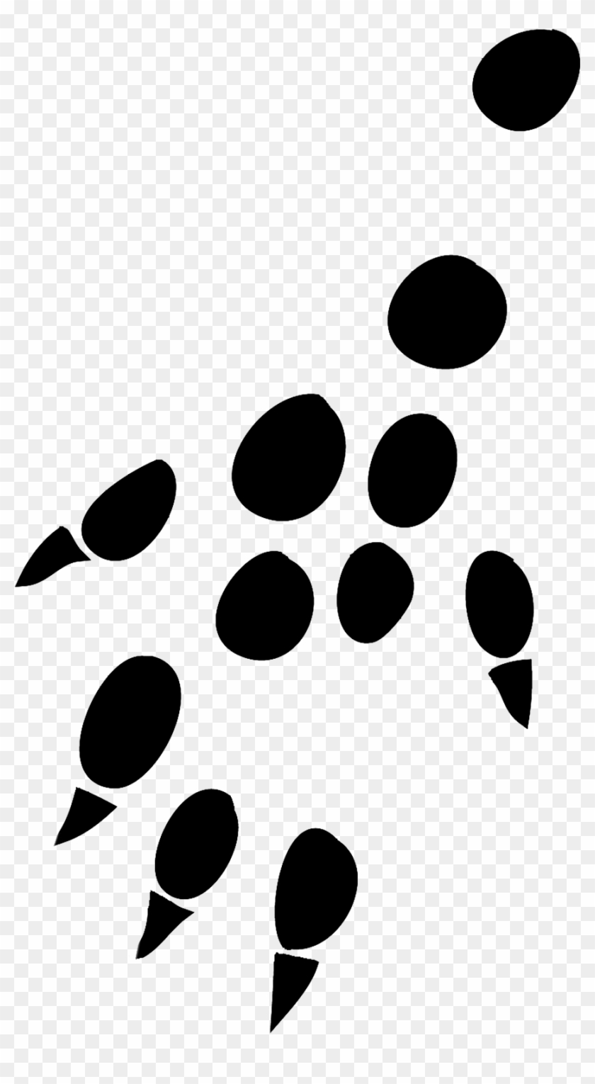 Pin By Xomissjewel On Hedgehog Pinterest Dog - Hedgehog Rat Footprint Clipart #45207