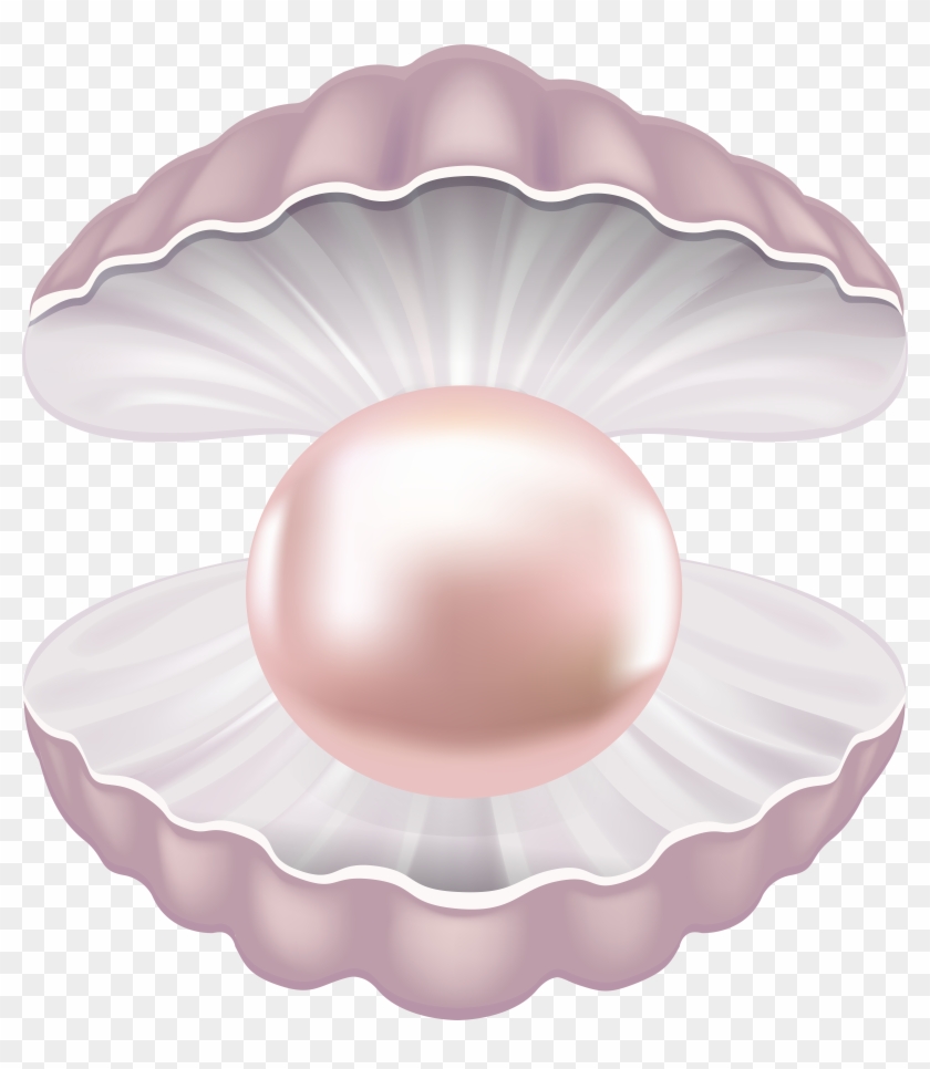 Pearl Shell Transparent Png Clip Art Image - Pearl With Shell Png #45560