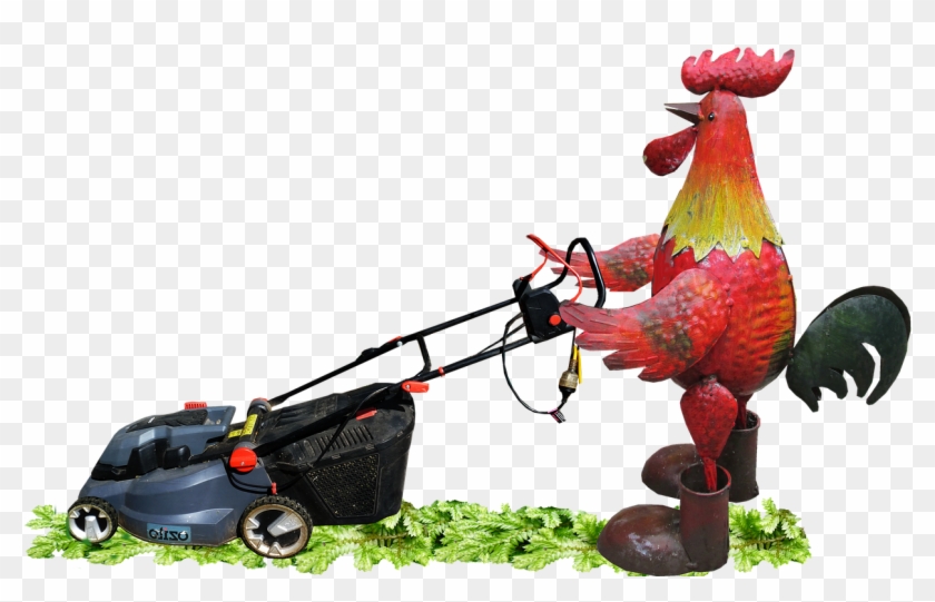 Rooster Mowing Grass - Rooster Mowing Lawn Clipart #45657