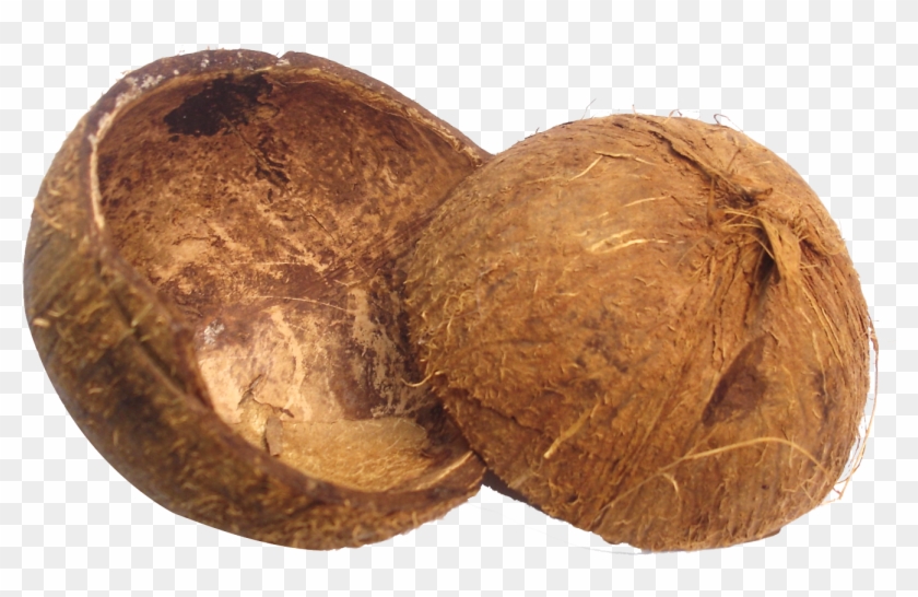 Coconut Shell Png Image - Coconut Shell Clipart Transparent Png #45908