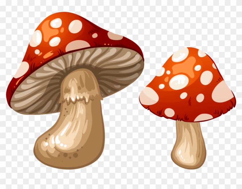 Free Png Download Mushrooms Clipart Png Photo Png Images - Transparent Background Mushroom Clipart Transparent #46030