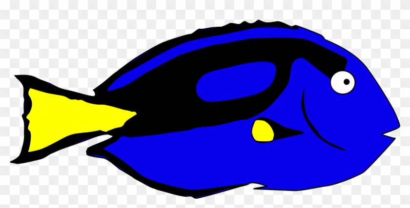 Clip Art Cool Dory Clip Art Dory Clip Art - Blue Tang Fish Clip Art - Png Download #46147