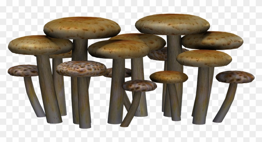 Mushrooms, Fantasy, Digital Art, Isolated, Png - Mushrooms Png Clipart #46430