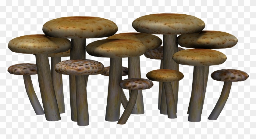 Mushrooms, Fantasy, Digital Art, Isolated, Png - Mushrooms Png Clipart