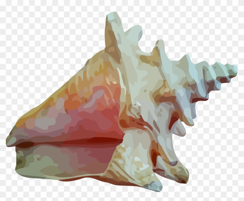 Sea Shell - Transparent Sea Shell Png Clipart #46649