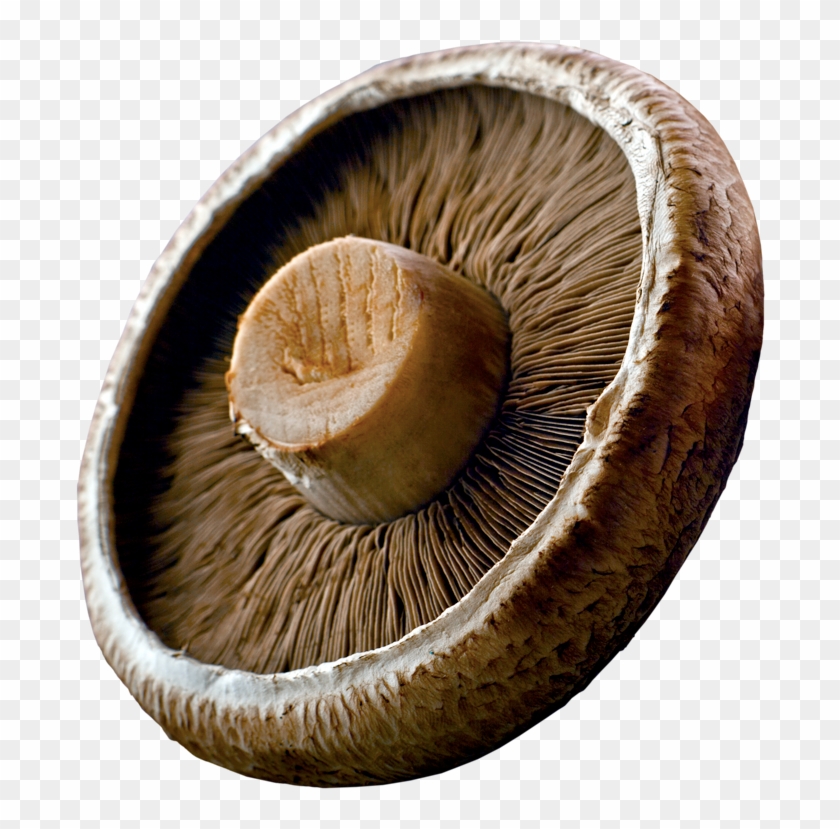 Portabellas Are Large Mushrooms With A Meat-like Texture Clipart