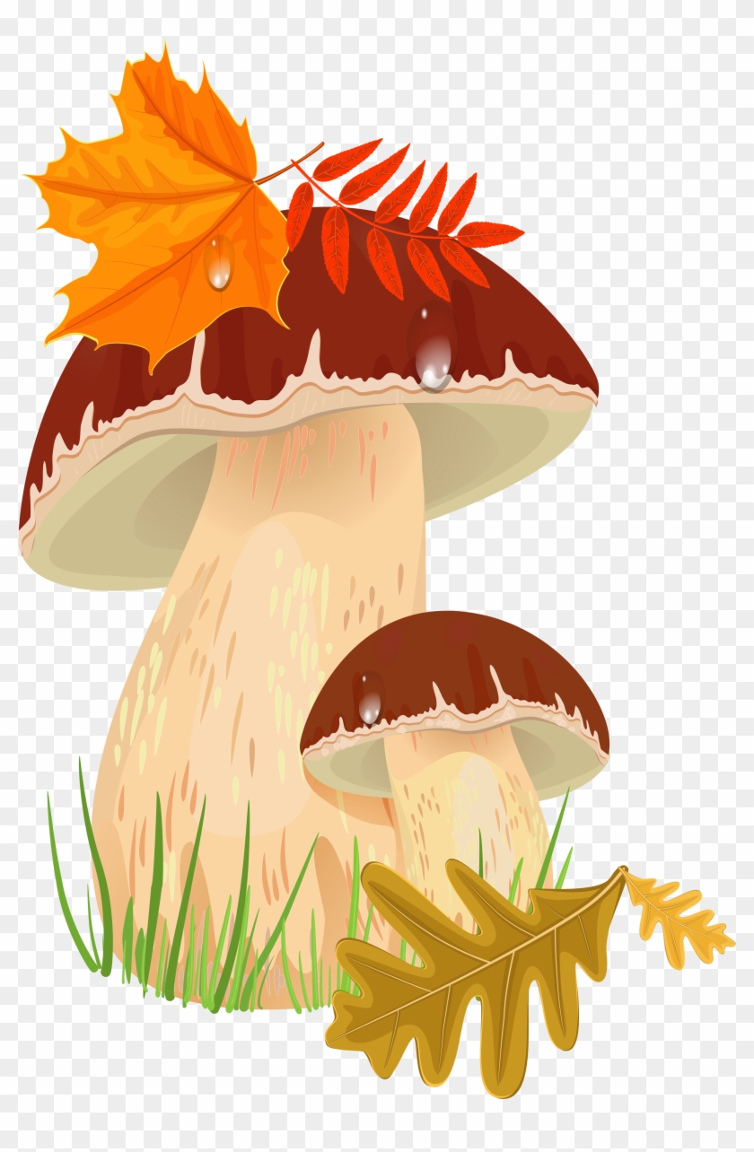 Fall Mushrooms Png Clipart Picture - Autumn Mushrooms Png Transparent Png #46757