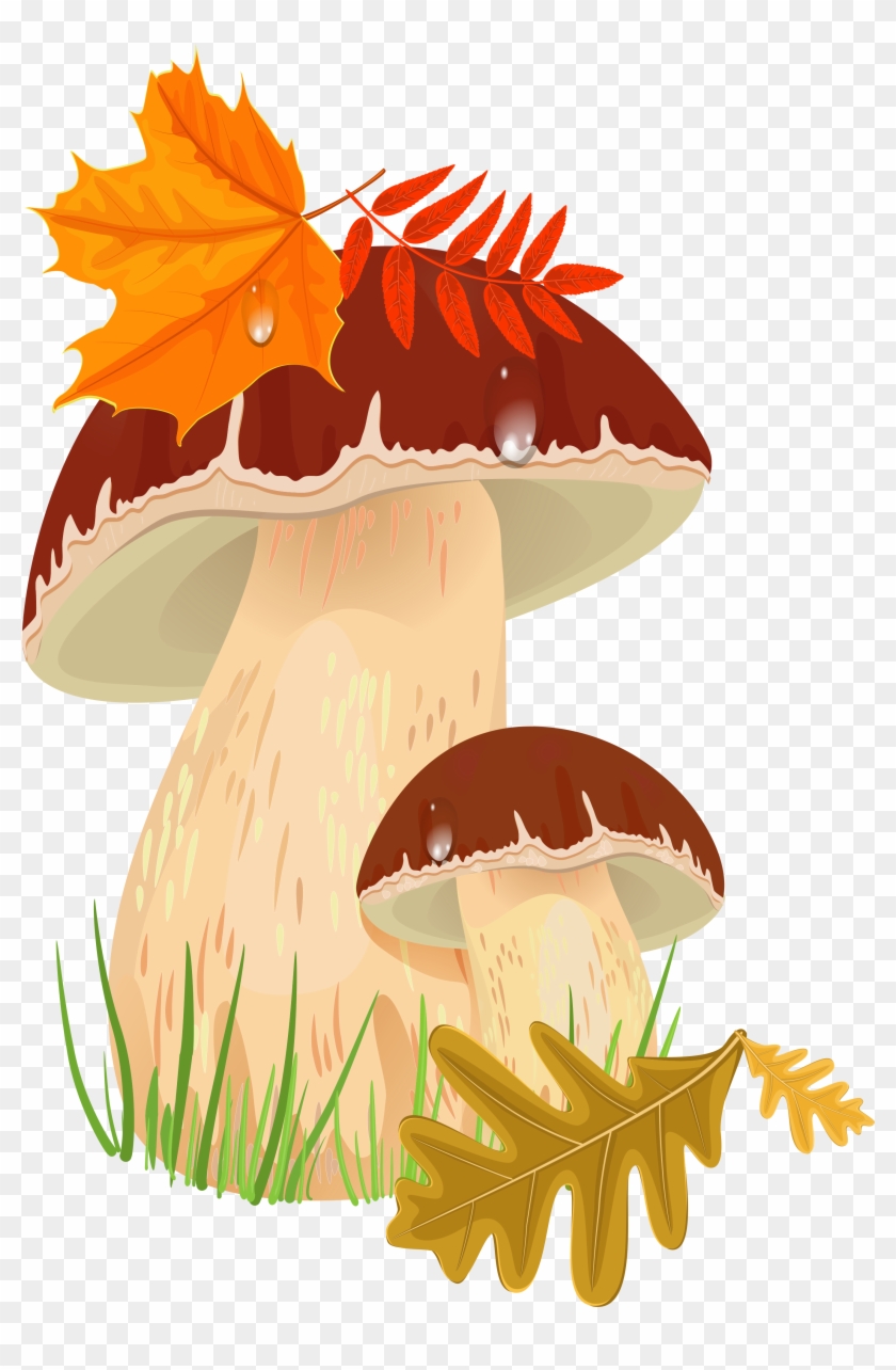 Fall Mushrooms Png Clipart Picture - Autumn Mushrooms Png Transparent Png