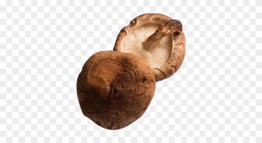 Mushrooms - Shiitake Clipart #46807
