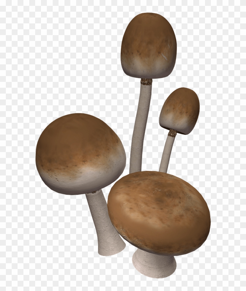 Brown Mushrooms - Mushroom Clipart #46813