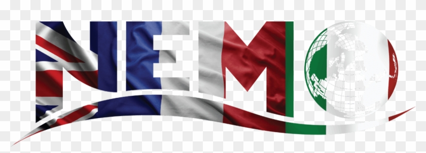 Nemo Grey Logo Nemo Blue Logo Nemo Flags Logo - Flag Clipart