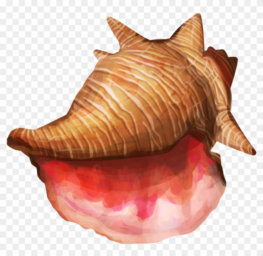 Conch Shell Png High-quality Image - Conch Clipart #46875