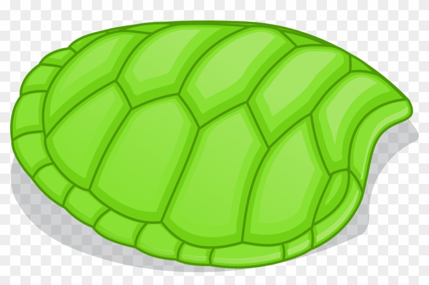 Caparazon De Tortuga Dibujo Clipart