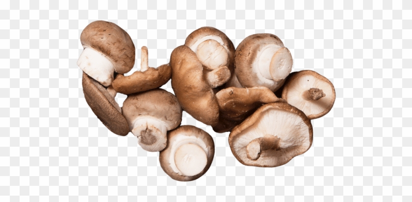 Mixed Wild Mushrooms - Pleurotus Eryngii Clipart #47005