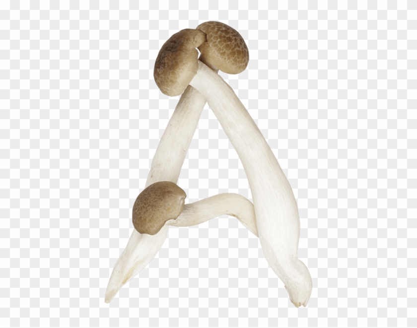 Mushrooms Font - Mushrooms Letters Clipart #47043