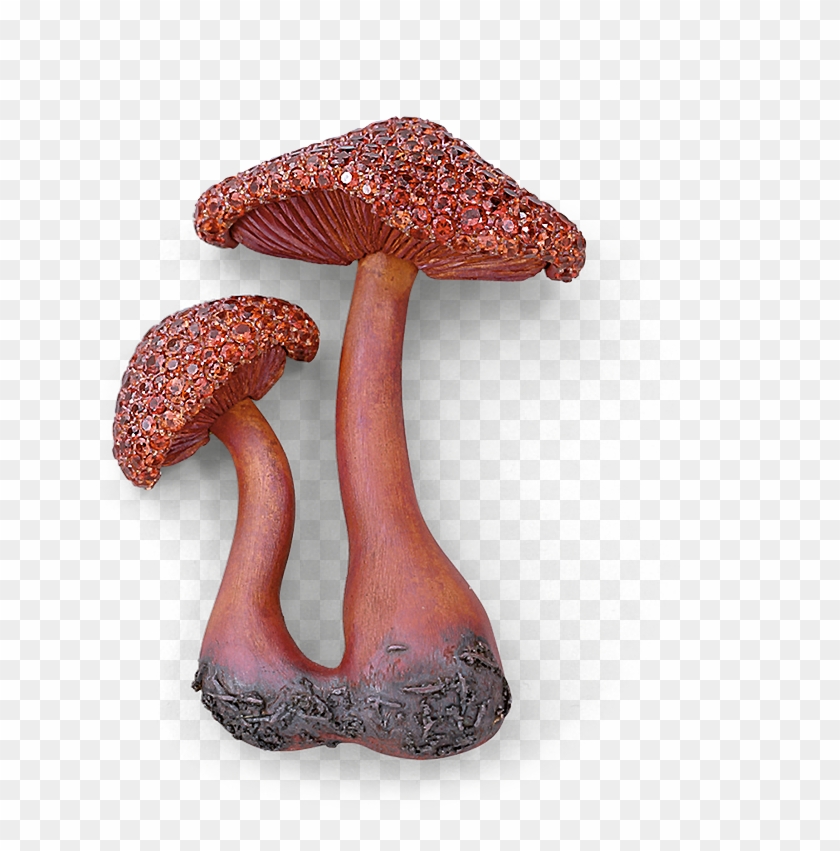 Red Mushroom Brooch - Shiitake Clipart