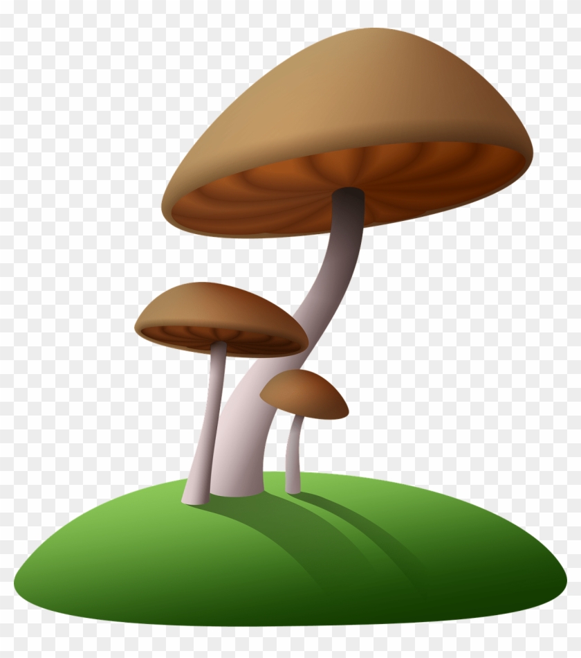 Nature - Mushroom Clipart Transparent Background - Png Download #47271