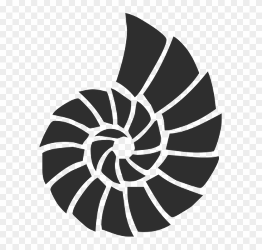 Shell Vector Png - Sea Shells Stencils Clipart