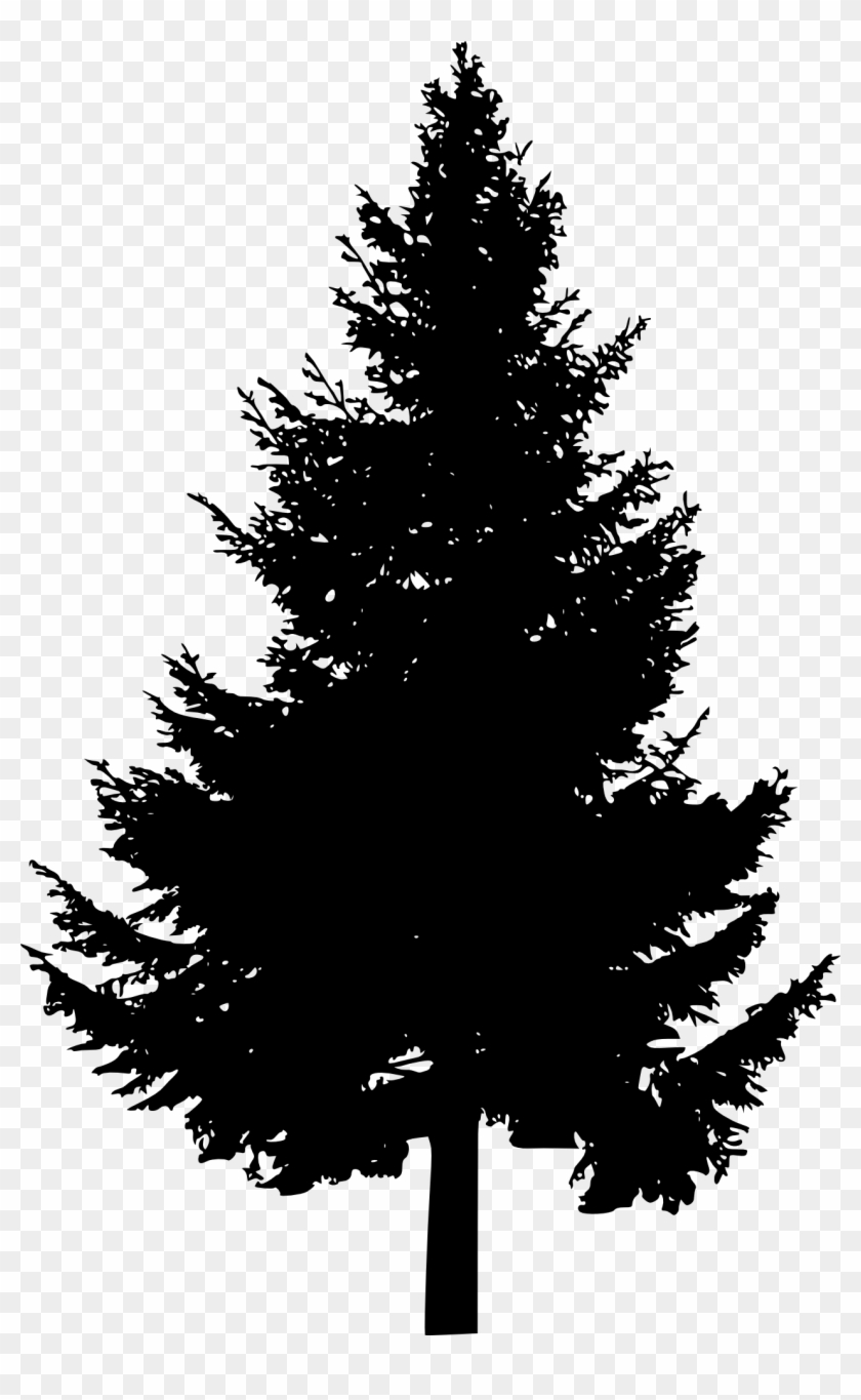 Free Download - Clipart Pine Tree Silhouette - Png Download