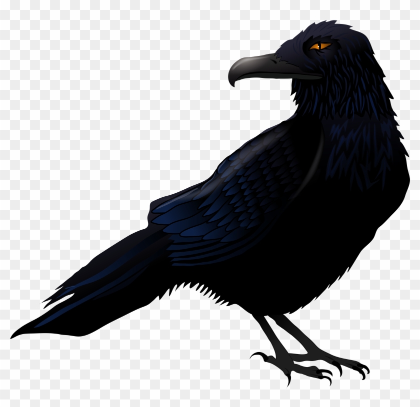 Haunted Raven Png Vector Clipart - Raven Clipart Transparent Background