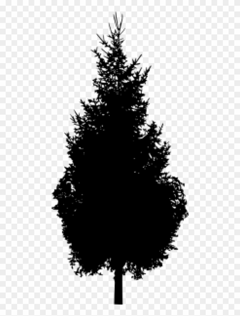 Pine Trees Silhouette Png - Pine Tree Silhouette Png Clipart #47612