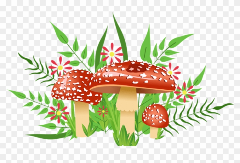 Free Png Download Mushrooms Decorative Element Clipart - Kids Transparent Png #47672