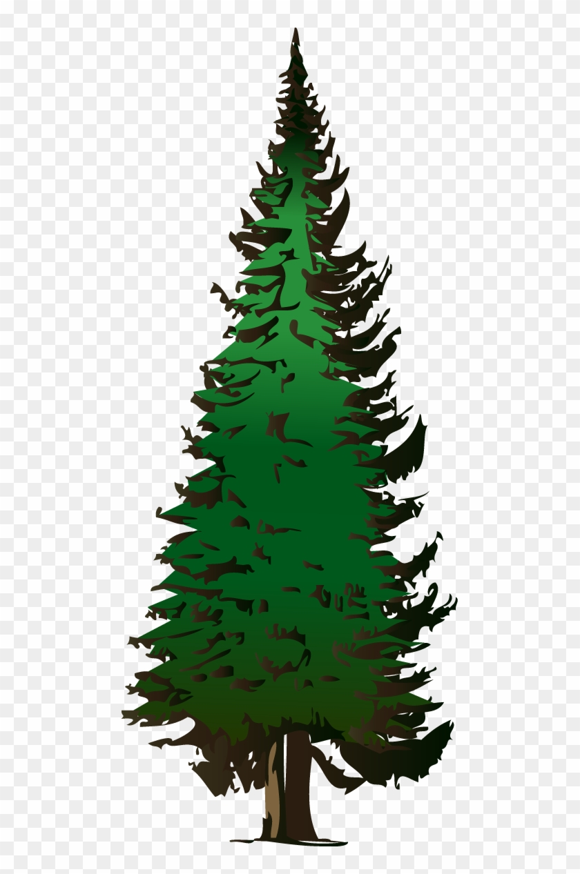 Pine Tree Vector Free Download - Fir Tree Clipart - Png Download