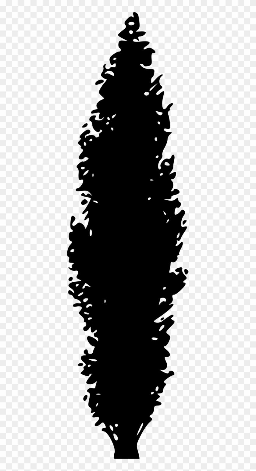 Fall Tree Silhouette - Pine Tree Silhouette Clipart #47967