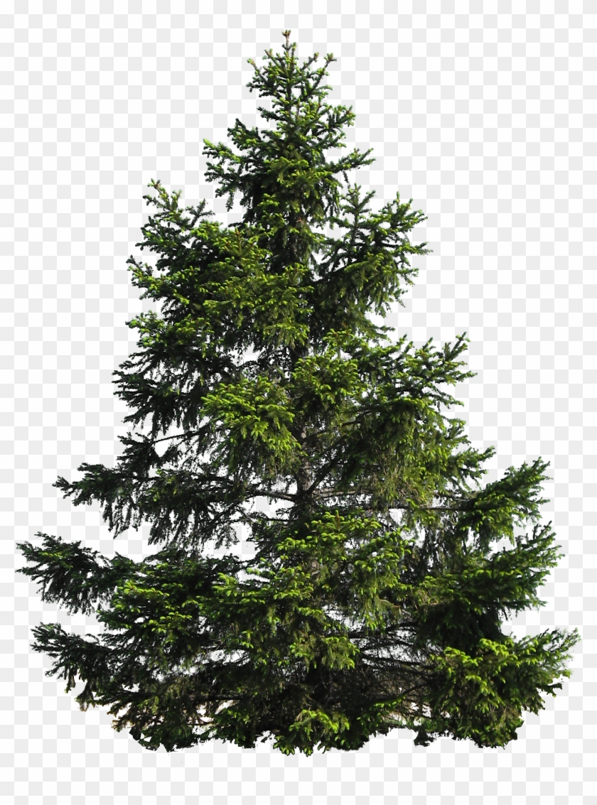 Pin By Louise Brown On Files For - My Christmas Tree Png Clipart