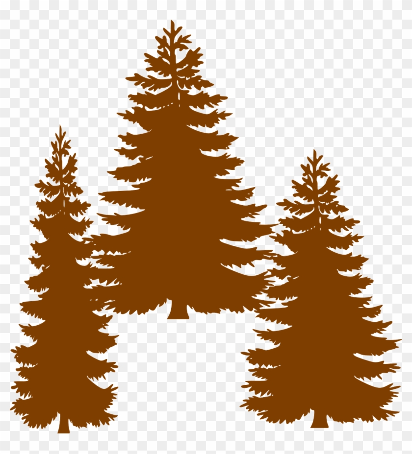 Pine Fir Tree Evergreen Clip Art - Pine Tree Vector Png Transparent Png #48019