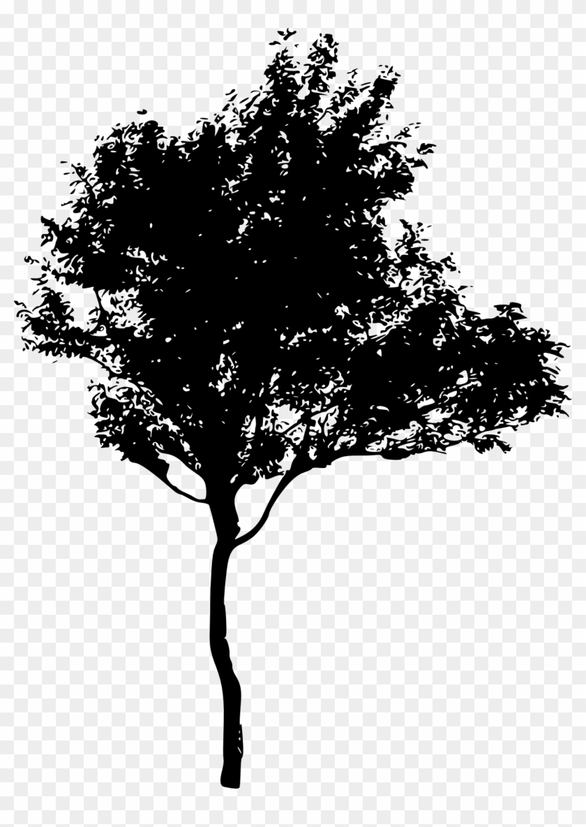Tree Silhouette Png 45 Tree Silhouettes Png Transparent - Dark Tree No Background Clipart #48047