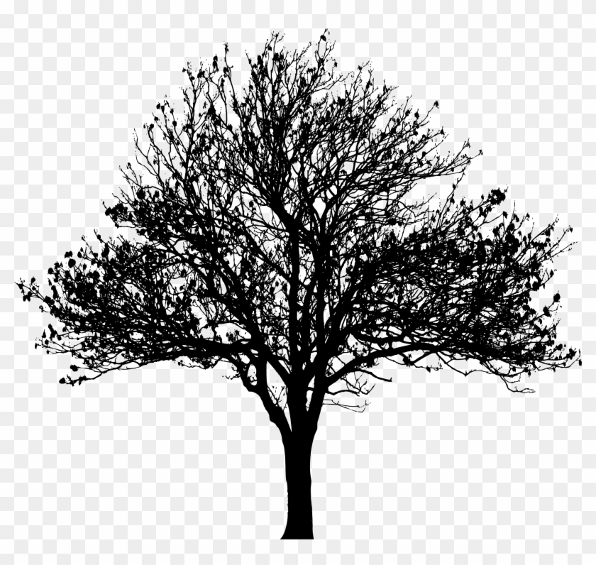 This Free Icons Png Design Of Winter Tree Silhouette Clipart