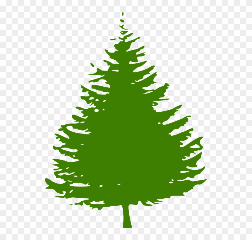 Three Pine Trees Silhouette Clipart #48344