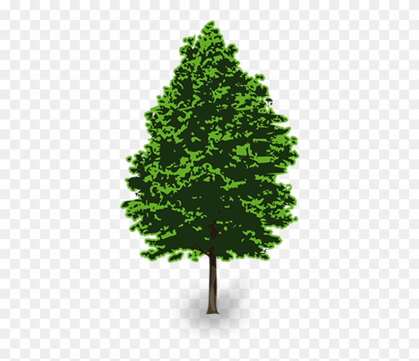 Vector Clip Art Transparent Background - Vector Pine Tree Png #48542