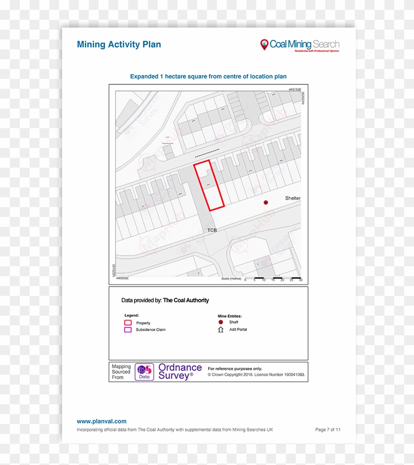 New Untitled Untitled - American Crow Clipart