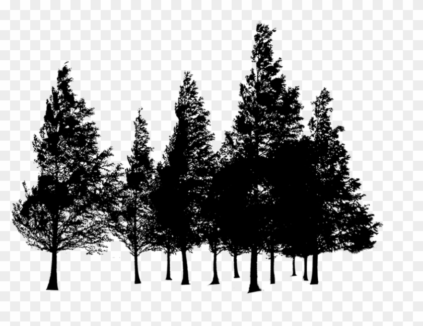 Forest Silhouette - Png Transparent Forest Png Clipart #48949